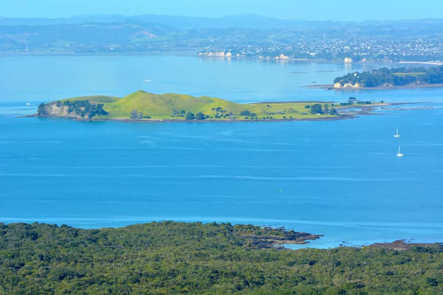 Auckland: Browns Island (Motukorea) Sea Kayak Tour - Timing, cancellations, and practical planning