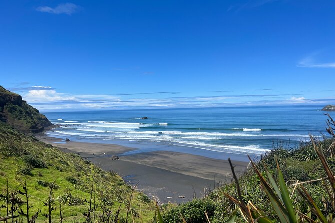 Auckland City and West Coast Black Sand Beach Full Day Tour - Key points to know before booking