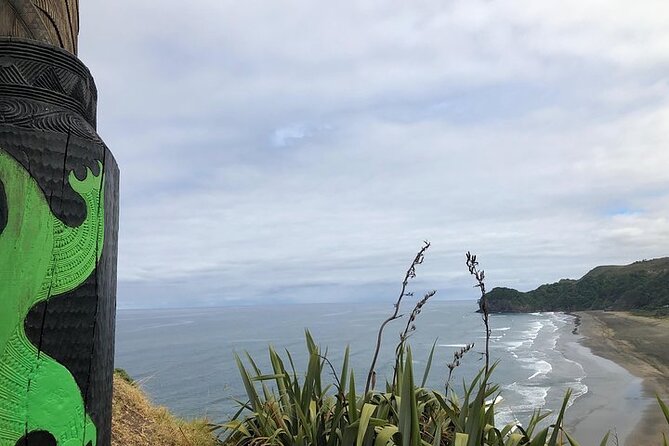 Auckland City and West Coast Black Sand Beach Full Day Tour - Arataki Visitor Centre explains the Waitākere Ranges