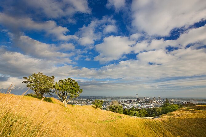 Auckland City and West Coast Full Day Tour - Arataki Visitor Centre and the Waitakere Ranges