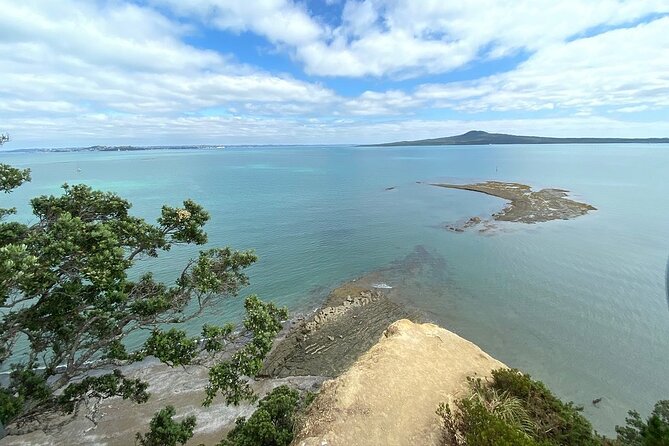 Auckland City and West Coast Full Day Tour - Harbor views, Auckland Domain, and Parnell homes