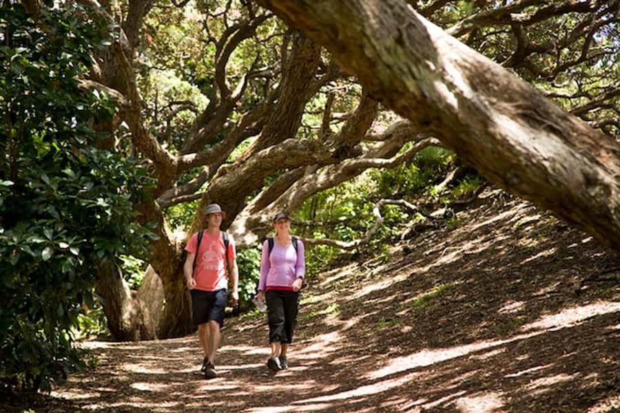 Auckland City and West Coast Luxury Tour - Key points to know before booking