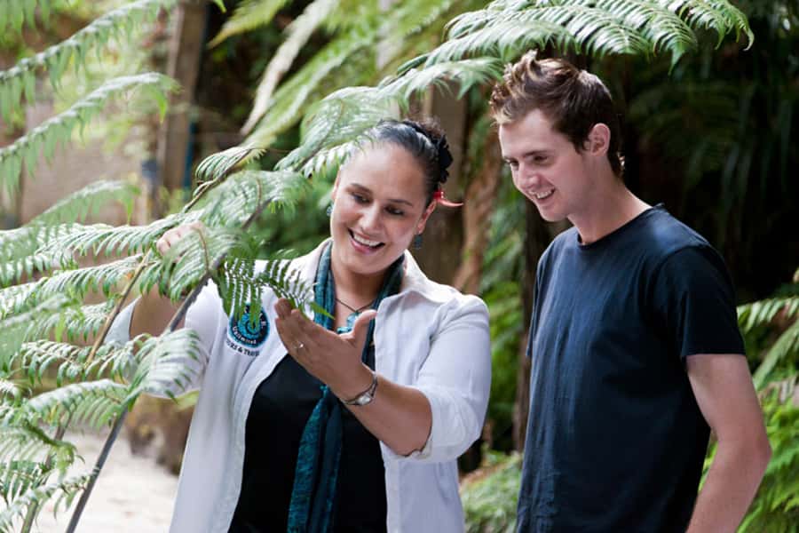 Auckland City and West Coast Luxury Tour - Who should book this Auckland tour?