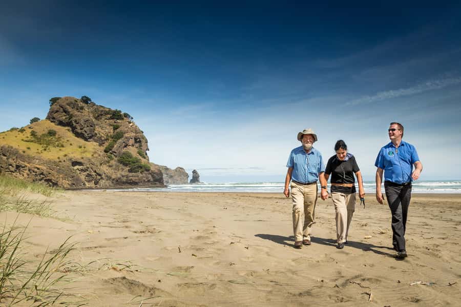 Auckland City and West Coast Luxury Tour - Parnell’s colonial streets and Tamaki Drive