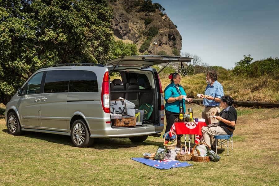 Auckland City and West Coast Luxury Tour - The guide can shape the whole day