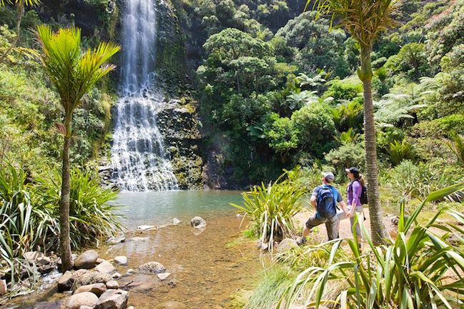 Auckland City and West Coast Luxury Tour - Lunch, timing and the $236 price