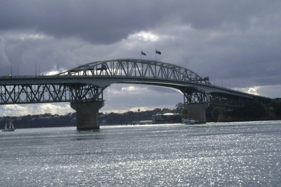 Auckland City, Beaches & Rainforest Premium Small Group Tour - How small is the small group?