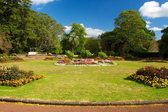 Auckland City Discovery Experience - Private Tour From Auckland - What the private minibus adds