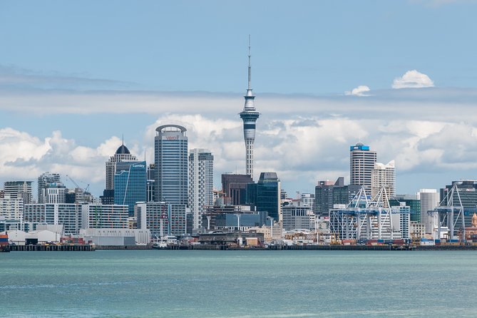 Auckland City Discovery Experience - Private Tour From Auckland - Is $464.81 per person fair value?