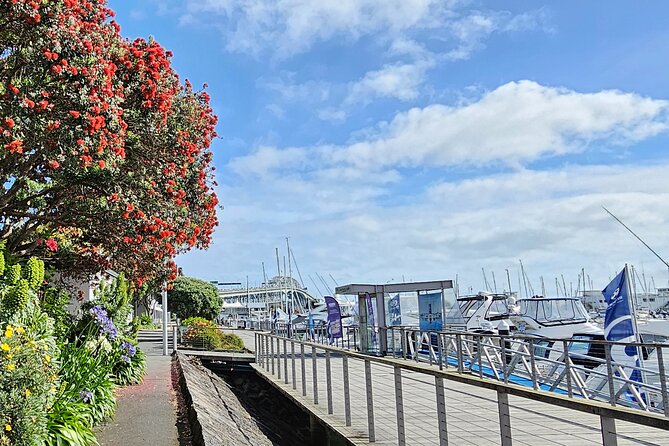 Auckland City Halfday Guide Tour - Auckland’s harbor and volcanic heart in one morning