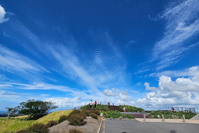 Auckland City Halfday Guide Tour - What a private vehicle changes