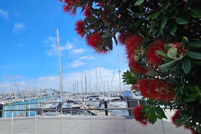 Auckland City Halfday Private Tour - A useful first look at Auckland in two to three hours