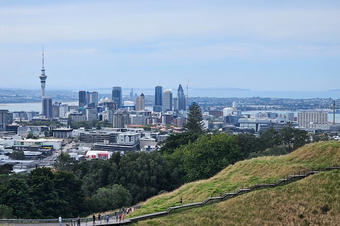 Auckland City Halfday Private Tour - What the private vehicle adds