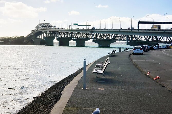 Auckland City Halfday Private Tour - Westhaven Marina and the Waitemata Harbour