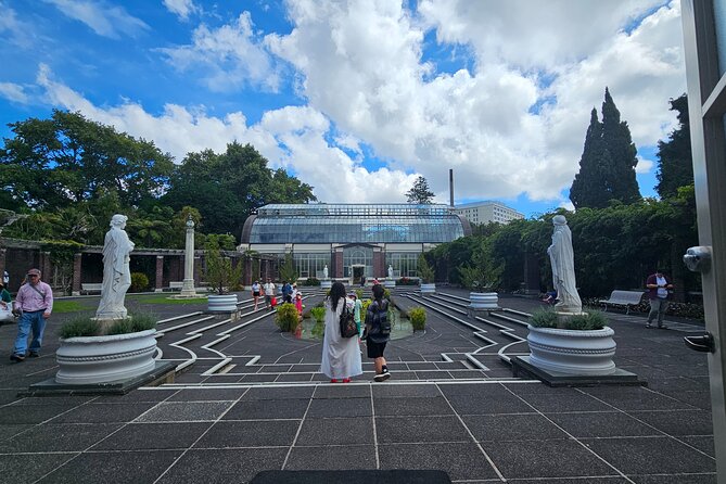 Auckland City Halfday Tour - Kauri Glen Reserve and Auckland’s Native Forest