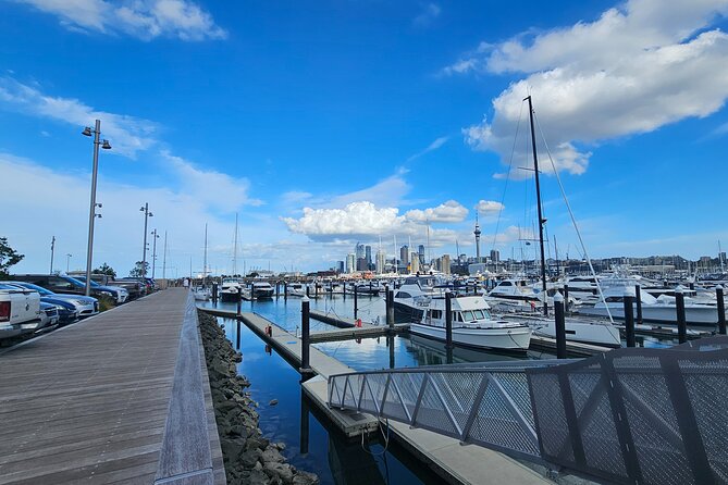 Auckland City Halfday Tour - Price, Timing, and Cancellation in Plain Terms