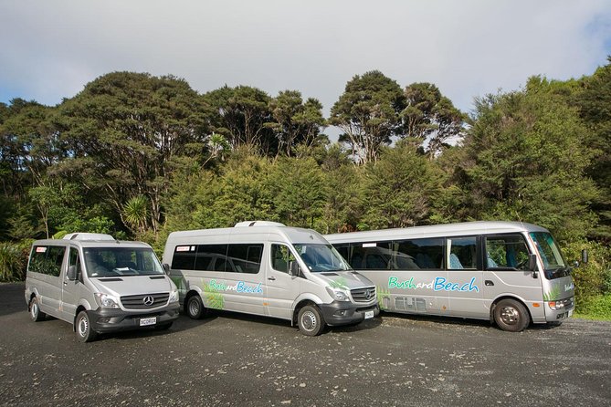 Auckland City Highlights, Afternoon Piha Beach & Rainforest Tour - Arataki Visitor Centre: the gateway west