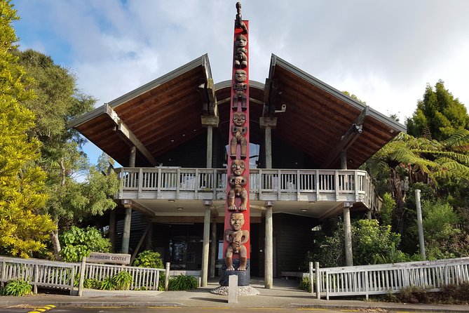 Auckland City Highlights, Afternoon Piha Beach & Rainforest Tour - A 45-minute walk through the rainforest