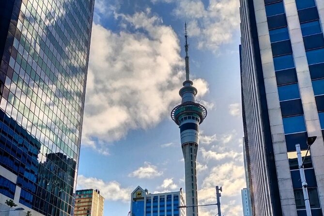 Auckland City Highlights Full Day Tour - What the $179 price covers