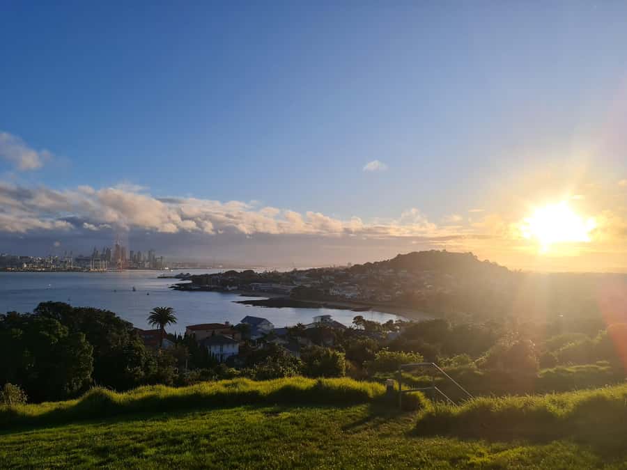 Auckland City Highlights Half Day Tour - Key points to know before booking