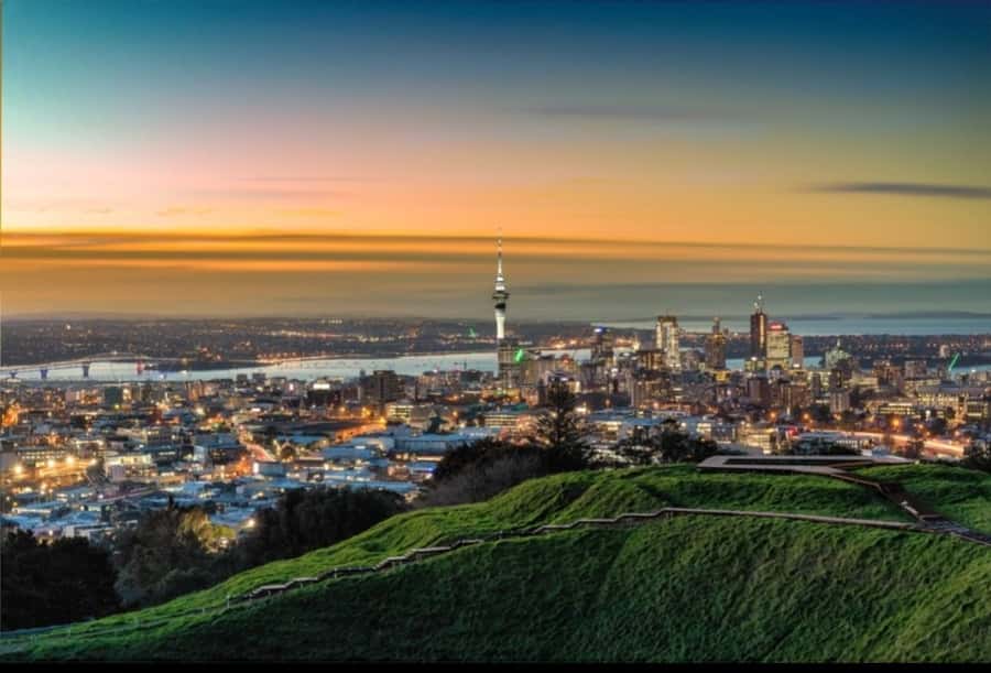 Auckland City Highlights Half Day Tour - Starting with Auckland Harbour Bridge