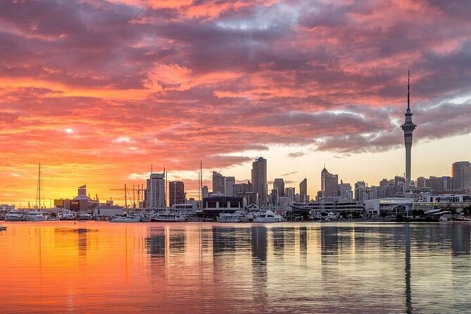 Auckland City Highlights Private Tour - Crossing the Harbour Bridge