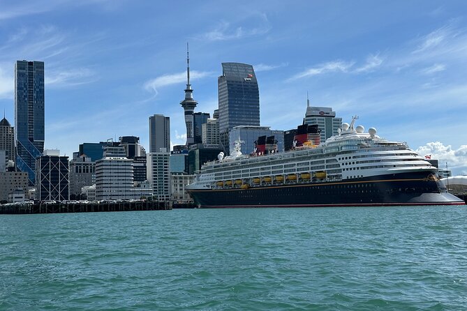 Auckland City Highlights Tour by Car or Van - Comfort, group size, and the short stops