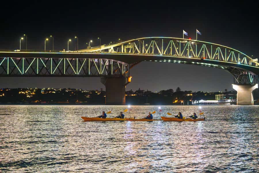 Auckland: City Lights Night Kayak Tour - Starting at Z Pier beside Auckland’s inner harbour
