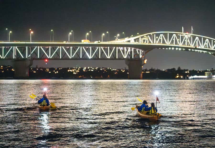 Auckland: City Lights Night Kayak Tour - Westhaven Marina and the Auckland skyline