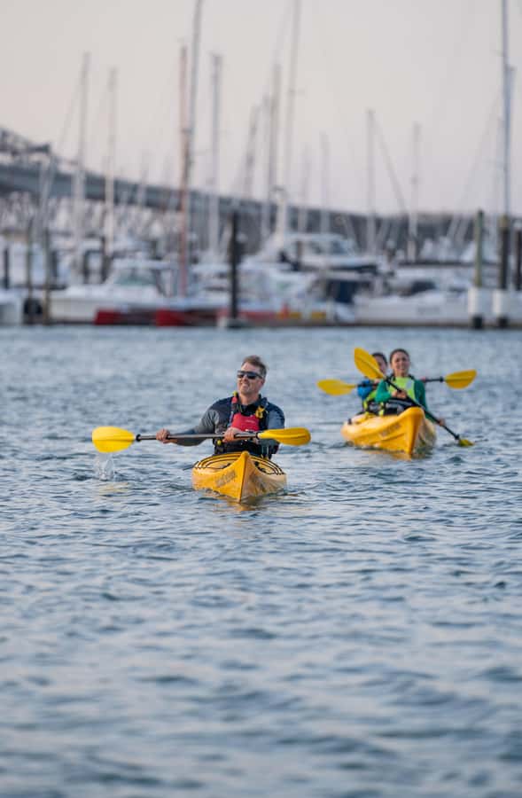 Auckland: City Lights Night Kayak Tour - Paddling beside the Harbour Bridge