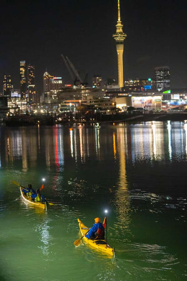 Auckland: City Lights Night Kayak Tour - From daylight to city lights