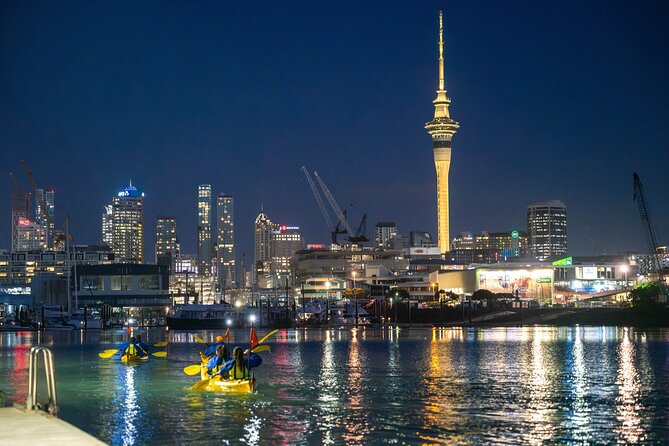 Auckland City Lights Night Kayaking Tour - Key points to know before you book