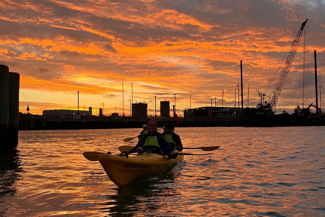 Auckland City Lights Night Kayaking Tour - Who will enjoy this Auckland night kayak tour