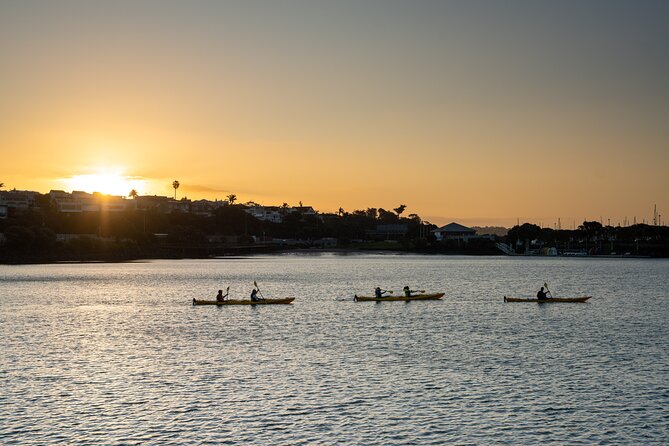 Auckland City Lights Night Kayaking Tour - Auckland Harbour Bridge from water level