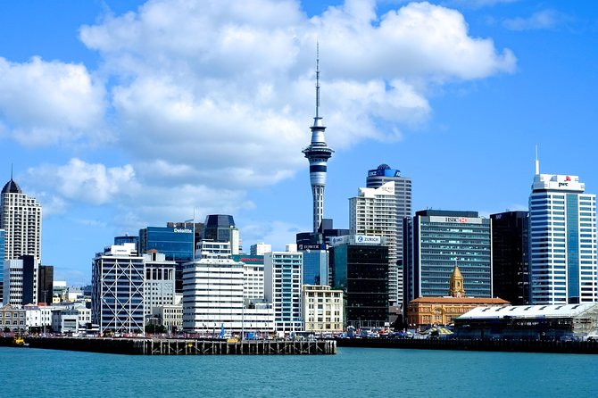 Auckland City & Native Forest Experience - Fully Guided Day Tour - Auckland in one day, from marina to rainforest