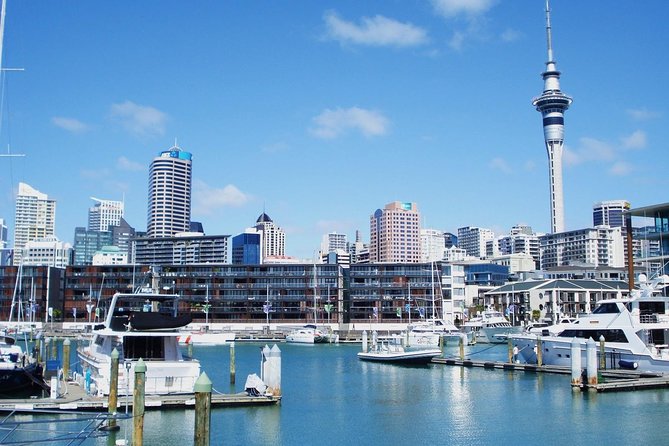 Auckland City Private Tour for Couples. Be chauffeur driven with added extras. - Bastion Point and the harbour islands