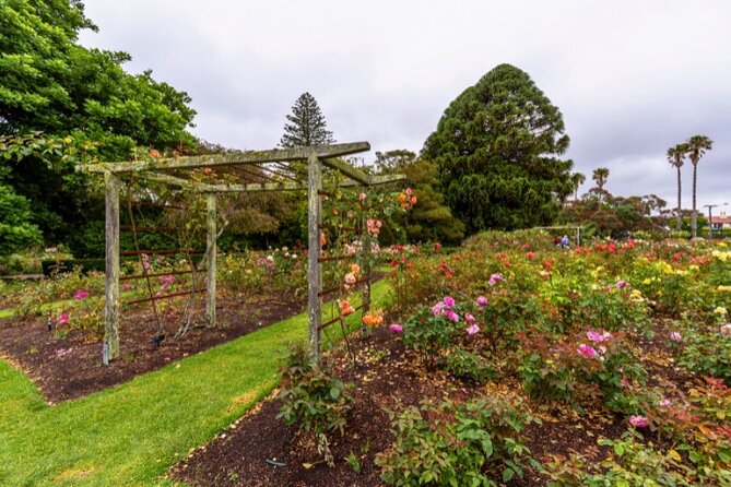 Auckland City Self Guided Walking Tour with an APP - Pace, practical planning, and who will enjoy it