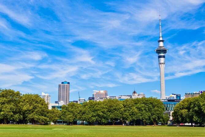 Auckland City Self Guided Walking Tour with an APP - From Viaduct Harbour to Wynyard Quarter