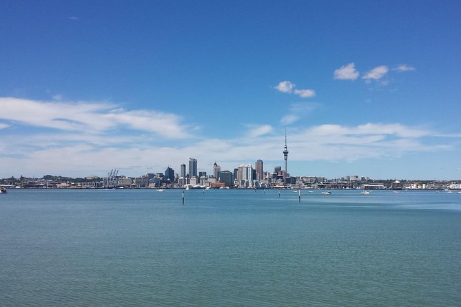 Auckland City Small-Group Morning Discovery Tour - Westhaven Marina and the Waitemata Harbour