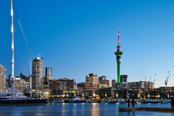 Auckland City Top Sights Half Day Tour - Small Group - Westhaven Marina and Auckland’s sailing culture