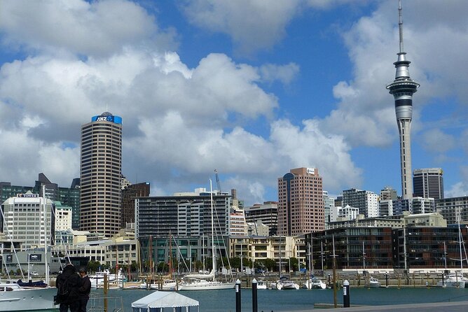 Auckland City Top Sights Half Day Tour - Small Group - What the small group and guide service add