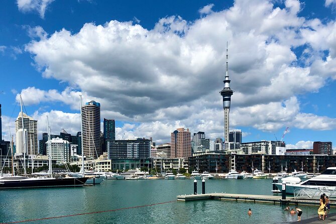 Auckland City Top Sights Half Day Tour - Small Group - Auckland Harbour Bridge: a quick look at the city’s main crossing
