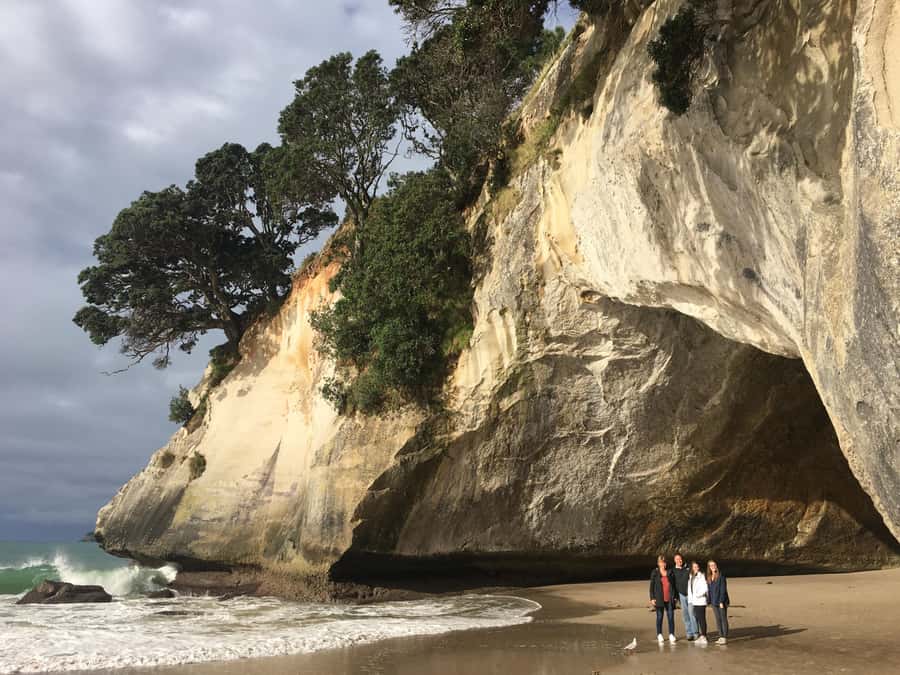 Auckland: Coromandel Day Tour including Hot Water Beach - Key points at a glance