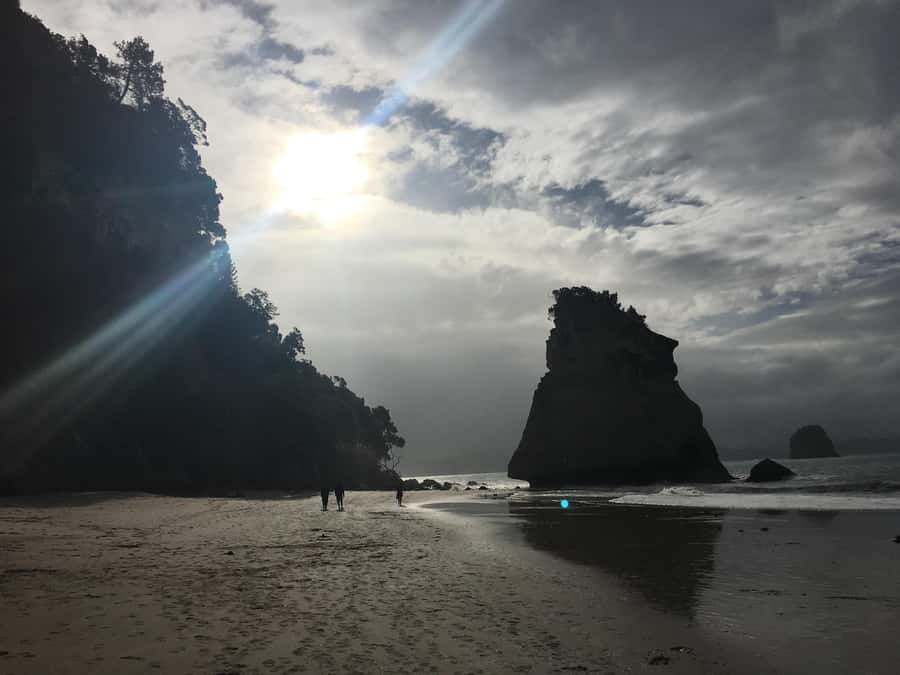 Auckland: Coromandel Day Tour including Hot Water Beach - The Auckland pickup and long road to Coromandel