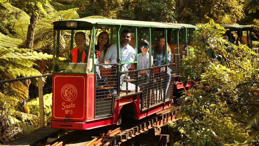 Auckland: Coromandel Driving Creek & Cathedral Cove Day Tour - Whitianga provides the midday pause