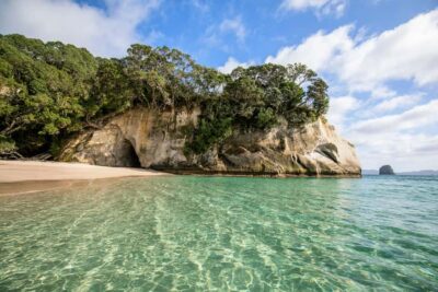 Coromandel Driving Creek & Cathedral Cove Day Tour