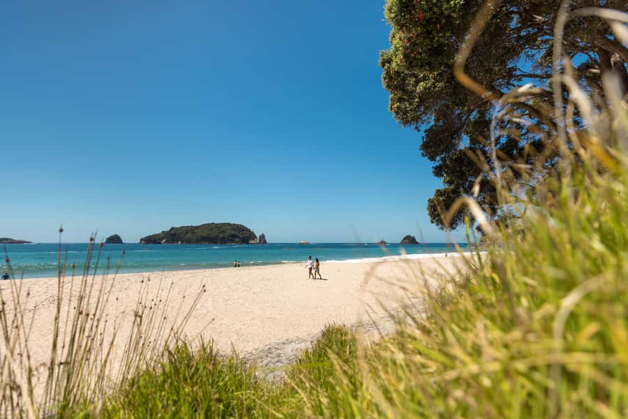 Auckland: Coromandel Driving Creek & Cathedral Cove Day Tour - The guide can shape the whole day