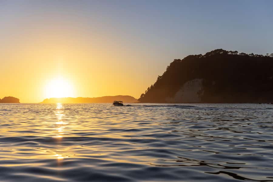 Auckland: Coromandel Driving Creek & Cathedral Cove Day Tour - Is $298 a fair price?