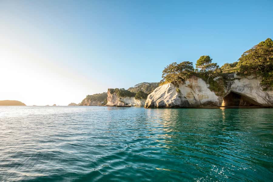 Auckland: Coromandel Driving Creek & Cathedral Cove Day Tour - Who should book this Coromandel day tour?