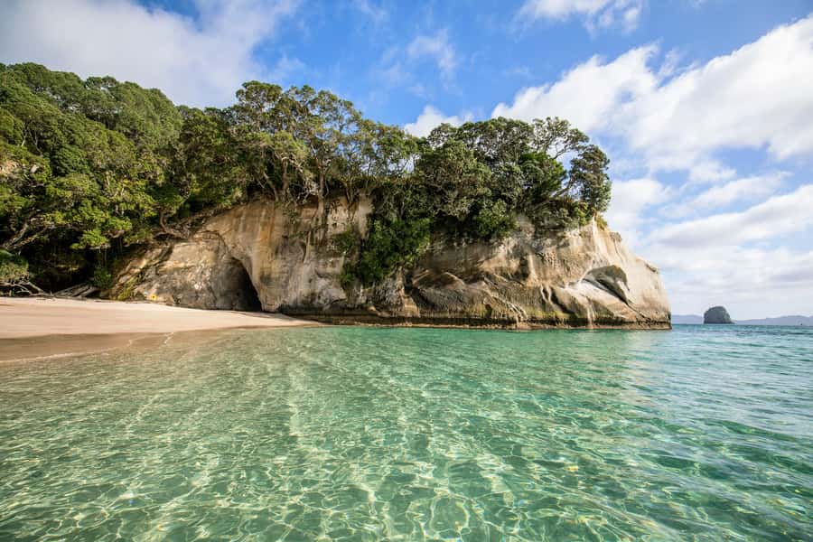 Auckland: Coromandel Driving Creek & Cathedral Cove Day Tour - Driving Creek Railway, art and engineering in the bush